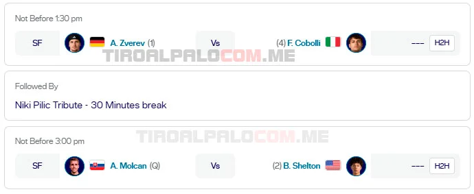 atp munich partidos semifinales 2026 tiroalpalo